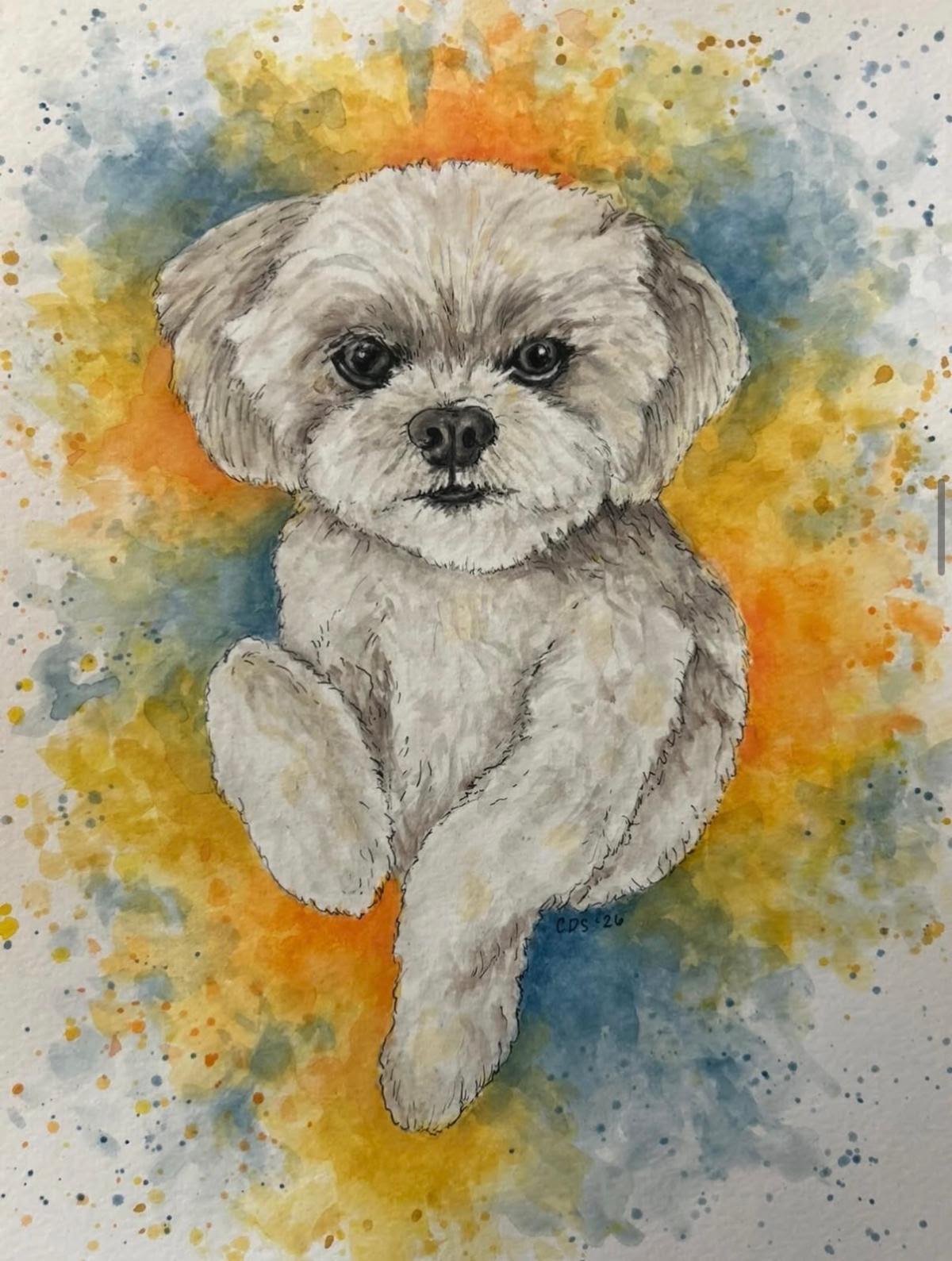 Watercolor pet portrait of a black and white dog by Caitlin Duffy Soldo