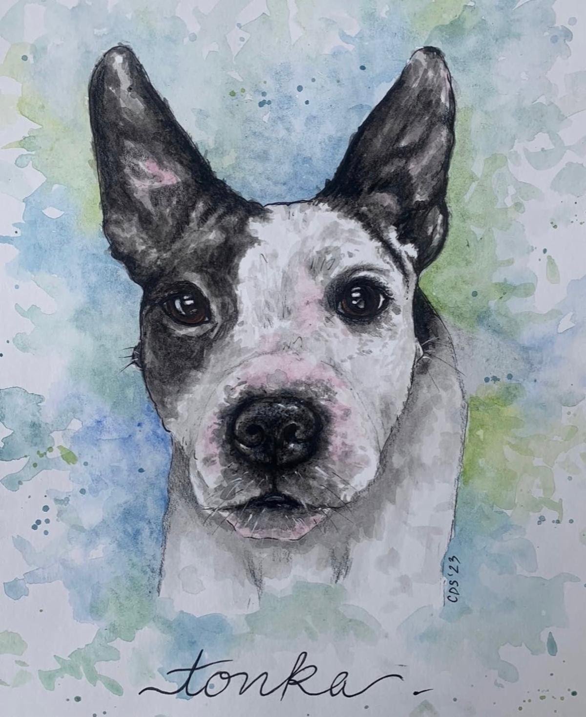 Watercolor pet portrait of a white dog by Caitlin Duffy Soldo
